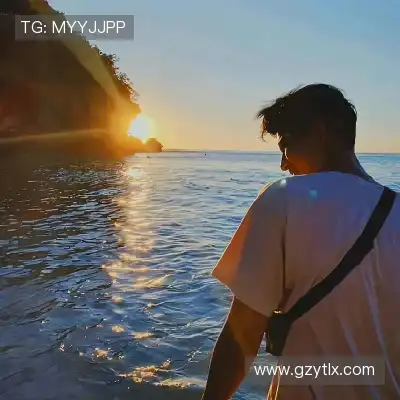 何鹰辉